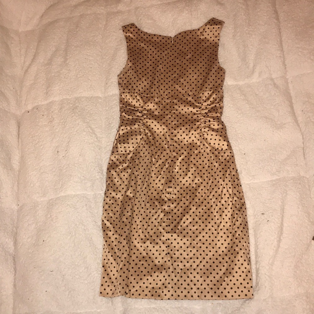 Polka Dot Champagne Dress - Picture 4 of 9